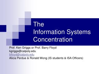 The Information Systems Concentration