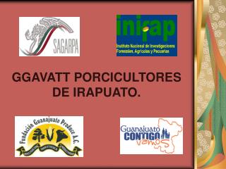 GGAVATT PORCICULTORES DE IRAPUATO.