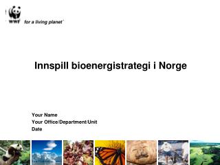 Innspill bioenergistrategi i Norge