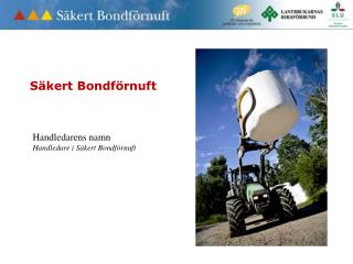 Säkert Bondförnuft