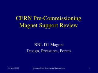 CERN Pre-Commissioning Magnet Support Review