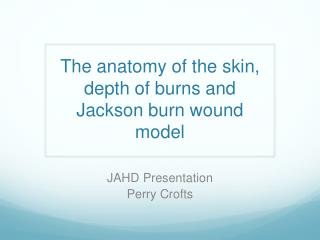 The anatomy of the skin, depth of burns and Jackson burn wound model