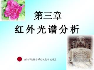 红 外 光 谱 分 析