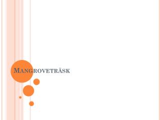 Mangroveträsk