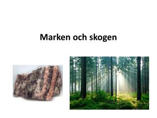 Marken och skogen