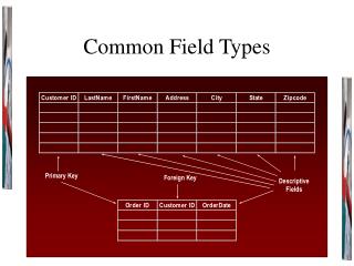Common Field Types