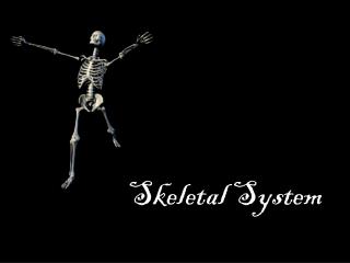 Skeletal System