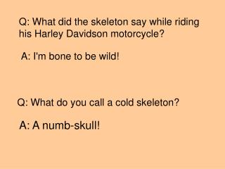 Q: What did the skeleton say while riding his Harley Davidson motorcycle?