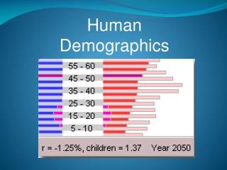 Human Demographics