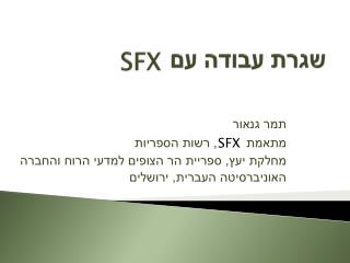 שגרת עבודה עם