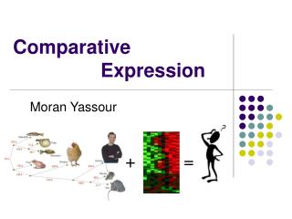 Comparative 						Expression