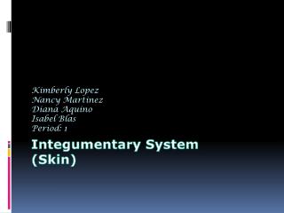 Integumentary System (Skin)