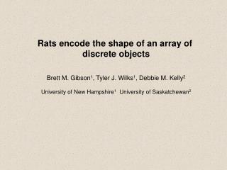 Rats encode the shape of an array of discrete objects