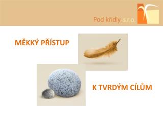 MĚKKÝ PŘÍSTUP