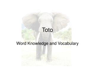 Toto