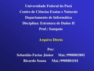 Universidade Federal do Pará Centro de Ciências Exatas e Naturais Departamento de Informática