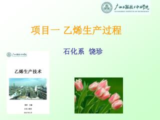 项目一 乙烯生产过程