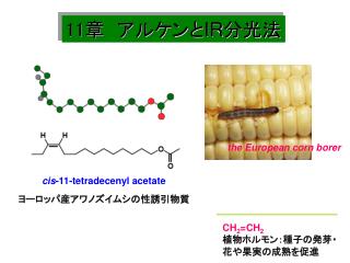 11 章　アルケンと IR 分光法