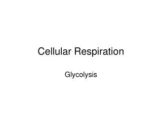 Cellular Respiration