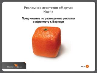 Рекламное агентство «Мартин Иден» Предложение по размещению рекламы в аэропорту г. Барнаул