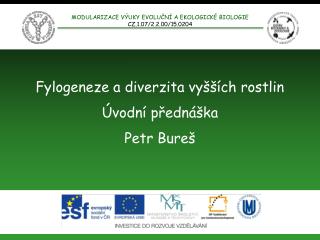 Fylogeneze a diverzita vyšších rostlin Úvodní přednáška Petr Bureš