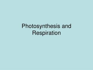 Photosynthesis and Respiration