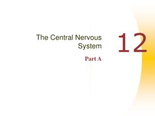 The Central Nervous System Part A