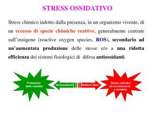 STRESS OSSIDATIVO