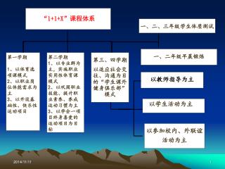 “1+1+X” 课程体系