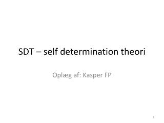 SDT – self determination theori