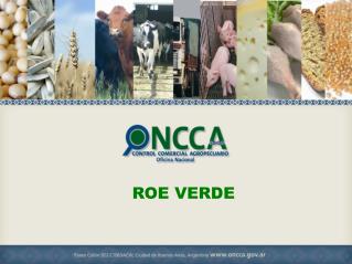 ROE VERDE