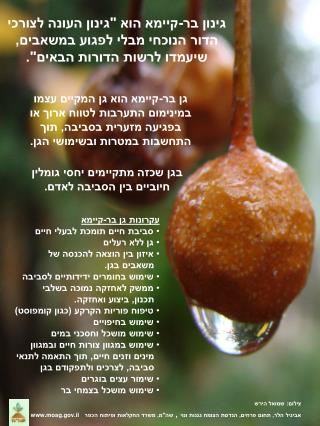 בגן שכזה מתקיימים יחסי גומלין חיוביים בין הסביבה לאדם.