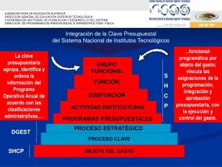 GRUPO FUNCIONAL