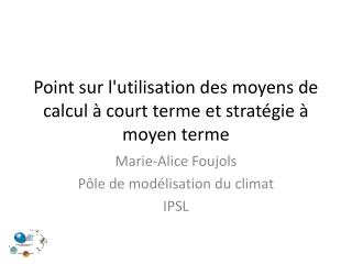 Point sur l'utilisation des moyens de calcul à court terme et stratégie à moyen terme