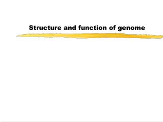 Structure and function of genome