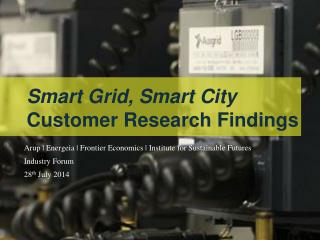 Arup | Energeia | Frontier Economics | Institute for Sustainable Futures Industry Forum