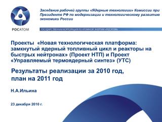 Н.А.Ильина 23 декабря 2010 г.