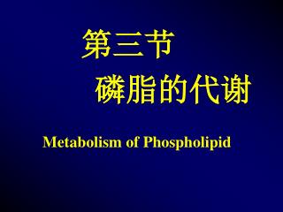 第三节 磷脂的代谢 Metabolism of Phospholipid