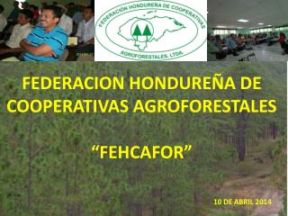 FEDERACION HONDUREÑA DE COOPERATIVAS AGROFORESTALES “FEHCAFOR” 10 DE ABRIL 2014