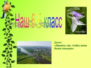 Наш 6 Б класс