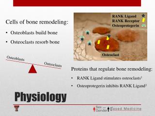 Physiology