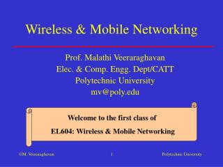 Wireless &amp; Mobile Networking