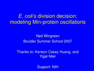 E. coli’s division decision: modeling Min-protein oscillations