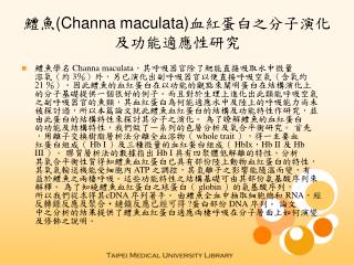 鱧魚 (Channa maculata) 血紅蛋白之分子演化及功能適應性研究