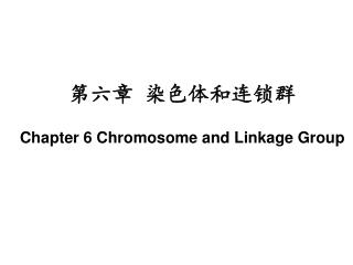 第六章 染色体和连锁群 Chapter 6 Chromosome and Linkage Group