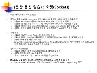 (분산 통신 실습) : 소켓( Sockets)