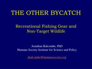 THE OTHER BYCATCH Recreational Fishing Gear and Non-Target Wildlife