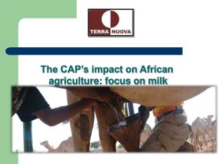 The CAP’s impact on African agriculture: focus on milk
