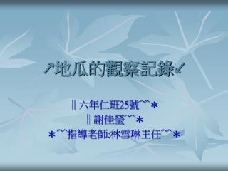 ↗ 地瓜的觀察記錄↙