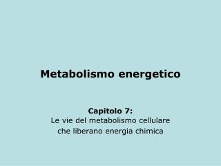 Metabolismo energetico